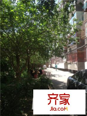 新金原小區(qū)外景圖小區(qū)實景