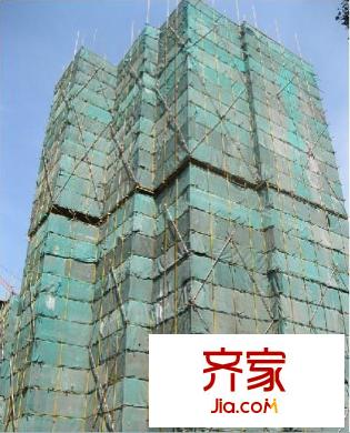 紫林楓舍