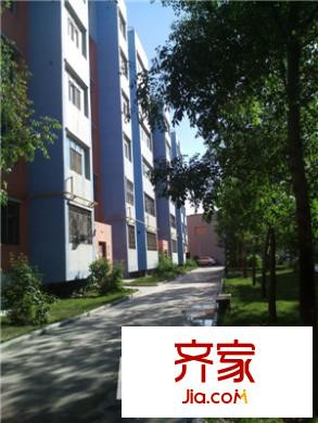 津城茗苑外景圖小區(qū)實(shí)景