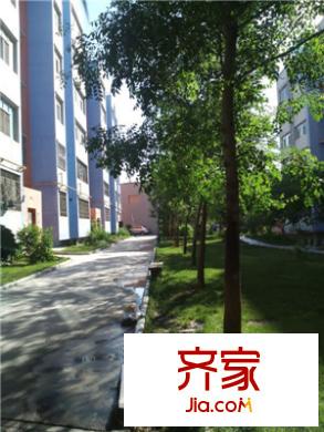 津城茗苑外景圖小區(qū)實(shí)景