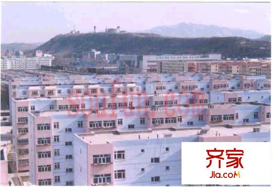 辰信