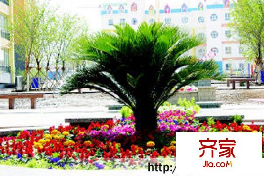 和順花園實(shí)景圖 3