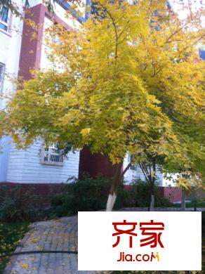 通嘉世紀(jì)城外景圖環(huán)境