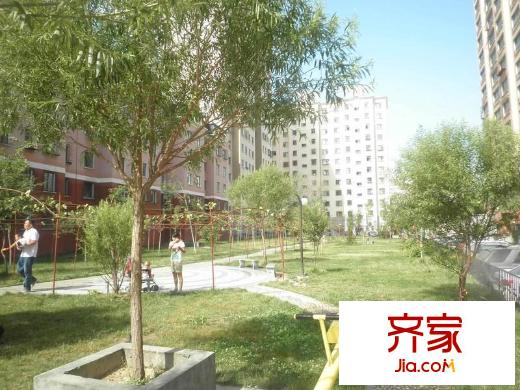 盈科棕櫚園外景圖棕櫚園小區(qū)實景圖