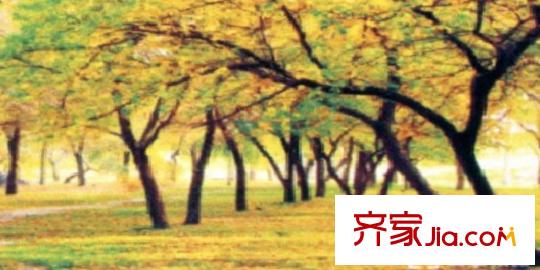 海棠銘居周邊植物園