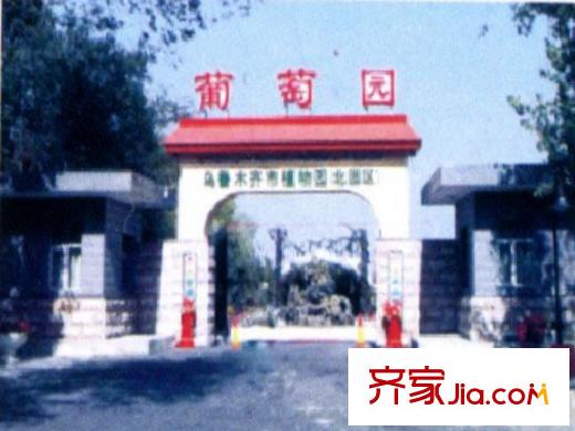 海棠銘居周邊葡萄園