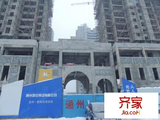 金科紫御府樓棟實(shí)景（2013-12）