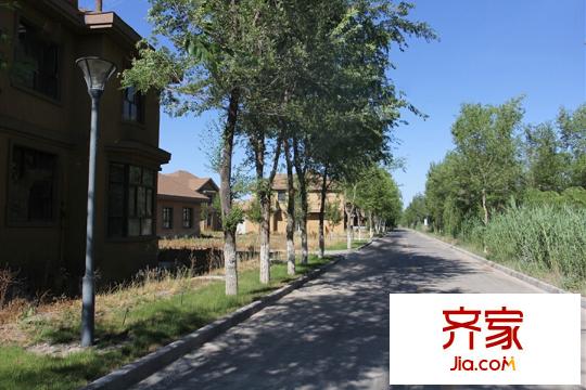 青湖御園?青湖綠島小區(qū)道路