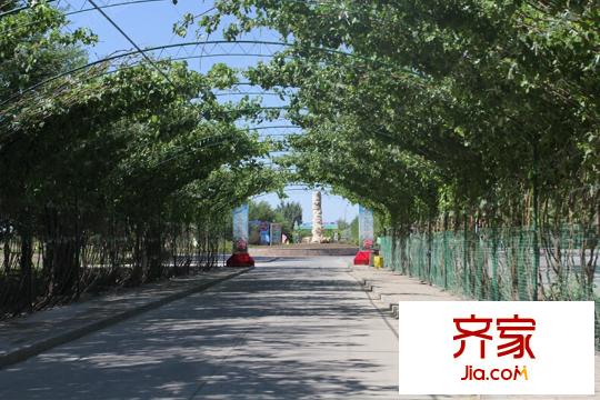 青湖御園?青湖綠島小區(qū)長廊
