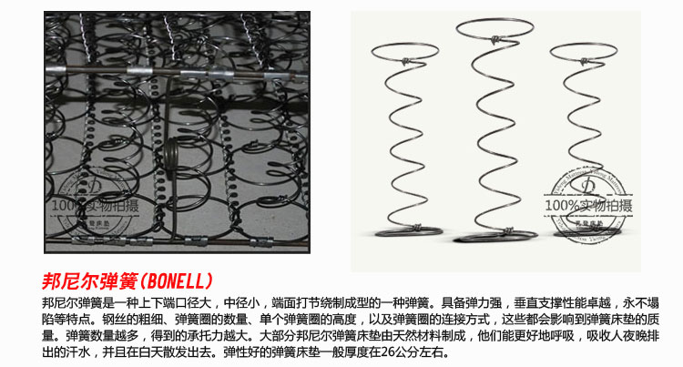 艺登高档 邦尼尔弹簧 100*190 席梦思床垫 软硬两用型【图片 价格