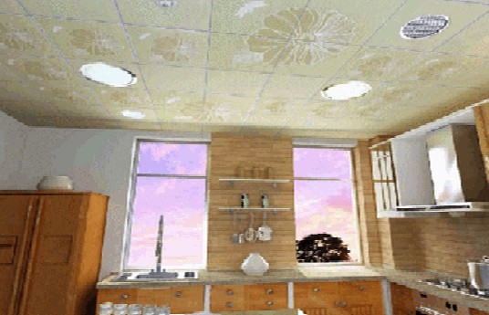 [顶仕集成吊顶]4平方厨房(纳米)套餐,顶仕集成吊