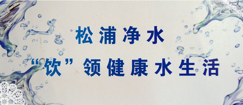 建材 家装主材 厨房用品 水处理/净水器 纯水机 宿州松浦净水器专营店