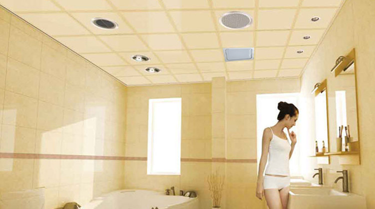 奥普1+N浴顶 奥普筒灯ZT909,奥普电器1+N浴顶