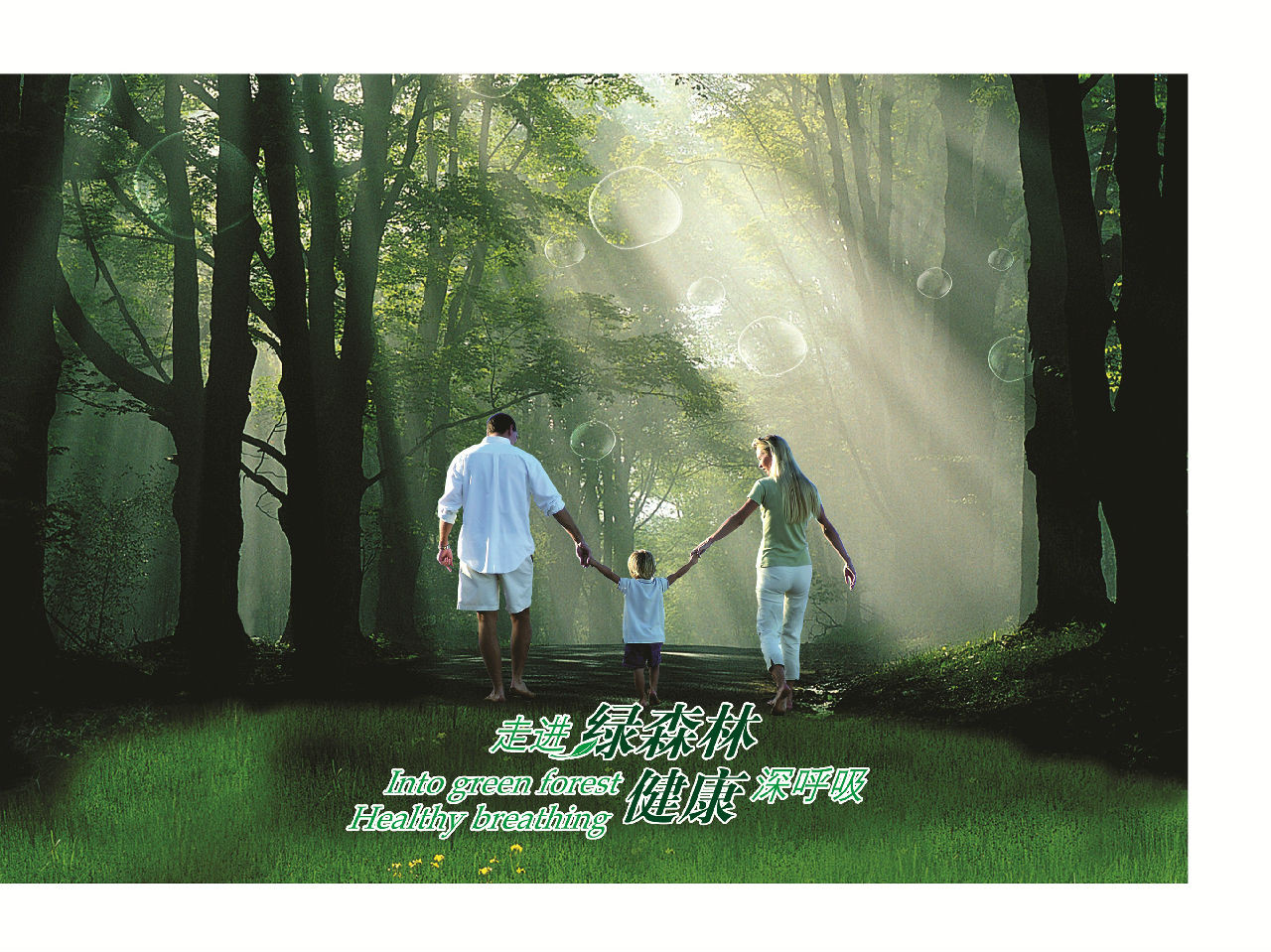 绿森林硅藻泥 单色喷涂,无锡绿森林硅藻泥专营