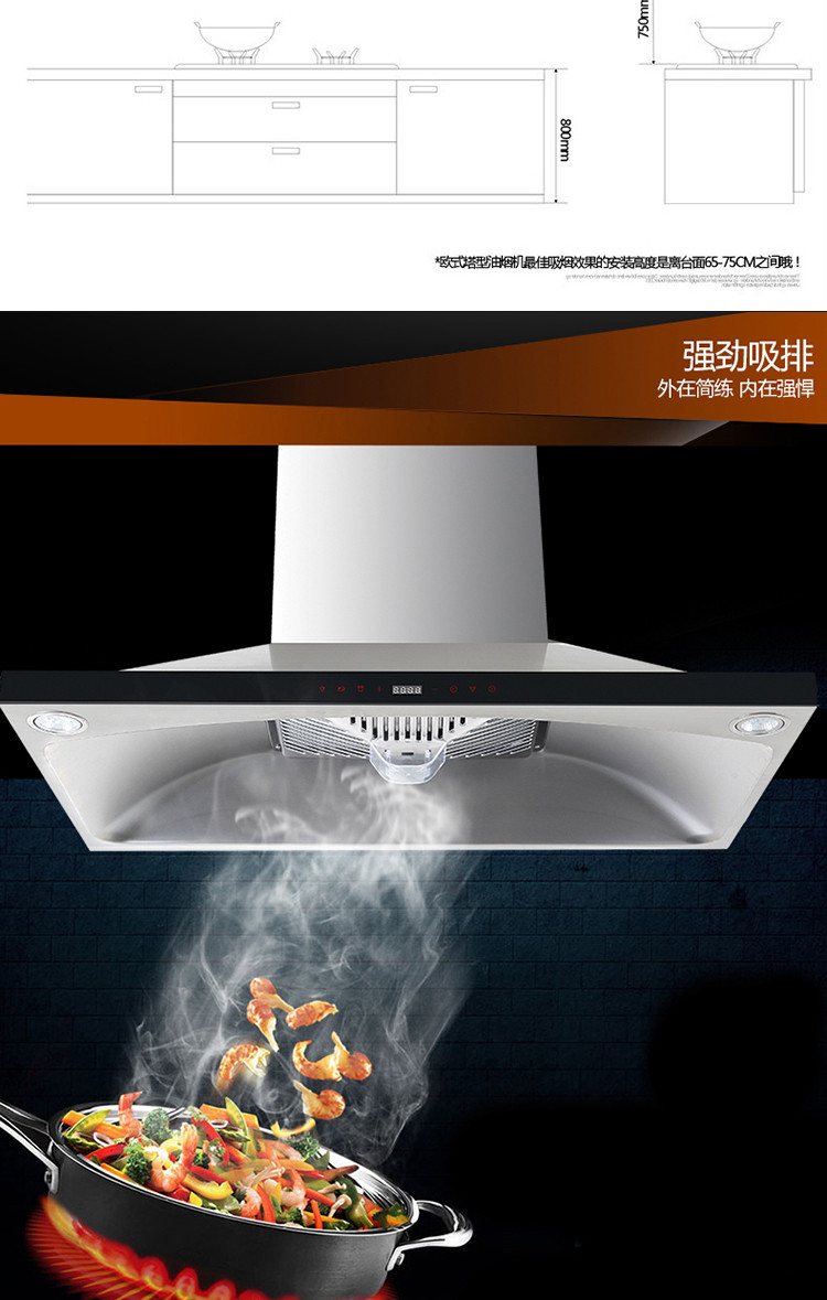 申花欧式吸油烟机CXW-238-E509-A 申花嵌入