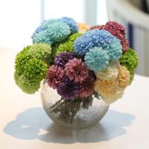 带10束球菊花花瓶玻璃台面花瓶中号欧式 花器