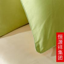 活性印花斜纹贡缎纯色床单式韩式风 床品件套四件套