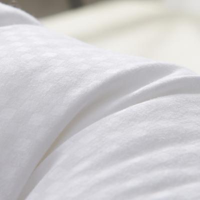 DESTINA 白色一等品纤维枕长方形 枕头