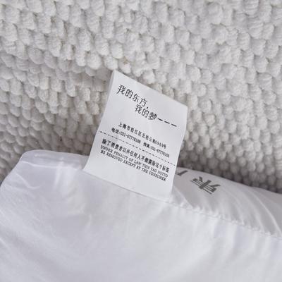 东方刺绣 适中型棉布长方形 枕头