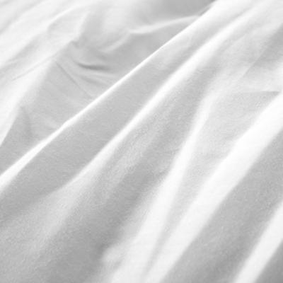 伊牧 白色立体羽丝绒枕芯平纹棉布纤维枕长方形 枕头