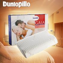 一等品棉布乳胶长方形 GAIA CLOUD枕头