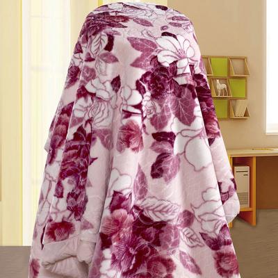 伊紫 2%-3%拉舍尔毛毯冬季植物花卉田园 毛毯