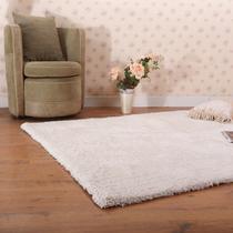 化纤北欧/宜家涤纶纯色长方形日韩机器织造 地毯