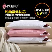 贡缎优等品棉布蚕丝CSZ2长方形 枕头