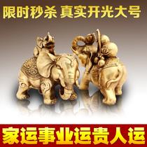 铜动物招财现代中式 摆件