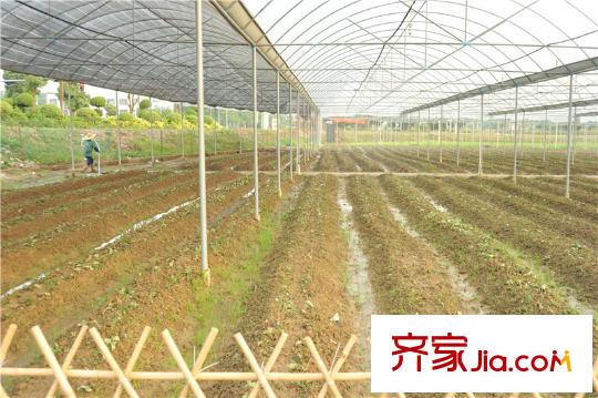中信山语湖楼盘配套生态农庄