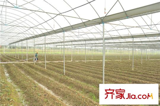 中信山语湖楼盘配套生态农庄