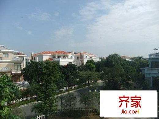 佛奥棕榈园外景图