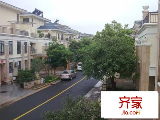 佛奥棕榈园外景图