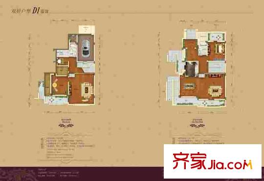 颐杰鸿泰狮子湖D1双拼底层、首层户型 3室5厅3卫