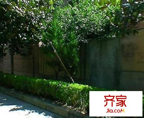 红旗花苑外景图上海