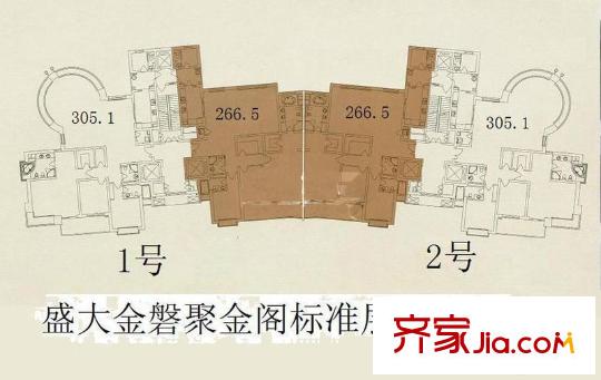 盛大金磐户型图户型图
