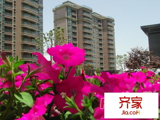 东方城市绿洲外景图上海