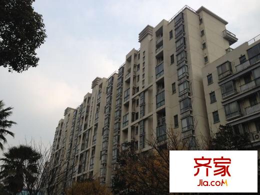柏林春天外景图