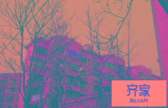 金杨七街坊外景图