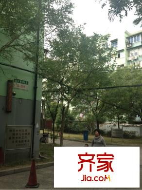 金杨七街坊外景图