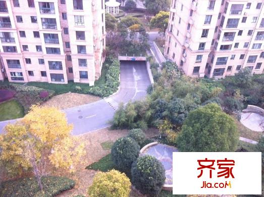 风度国际外景图