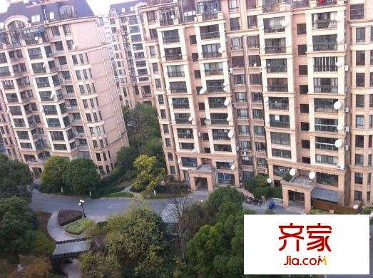 风度国际外景图