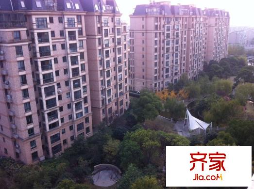 风度国际外景图