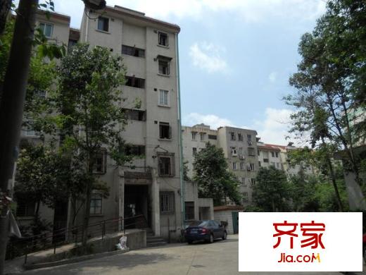 乐业四村外景图