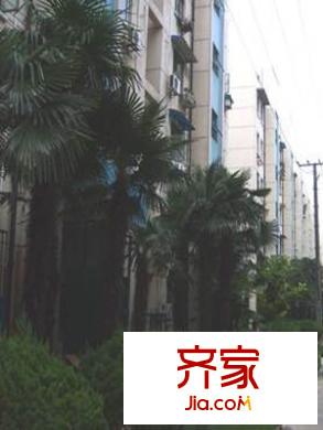 民星路350弄小区外景图上海 民星路350弄