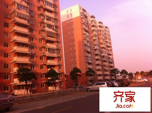 星金家园外景图(未满三年动迁房)