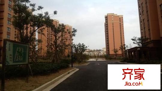 星金家园外景图(未满三年动迁房)