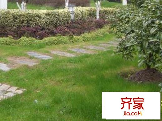 贝越水岸名邸外景图