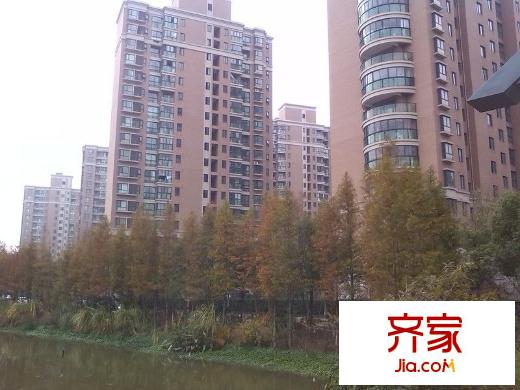 印象春城外景图