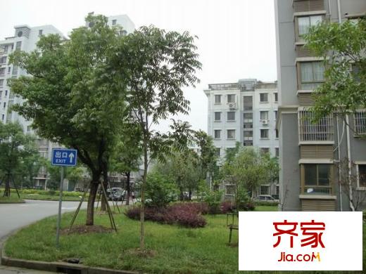 申雅苑外景图